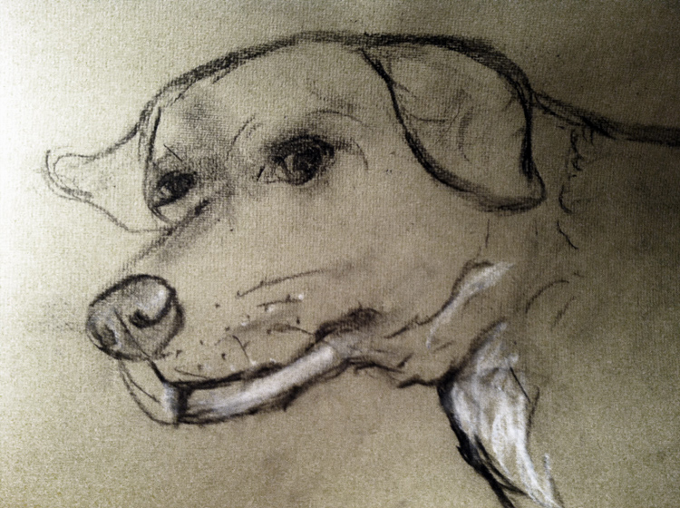  Bärbel Klingel: Tier Hund