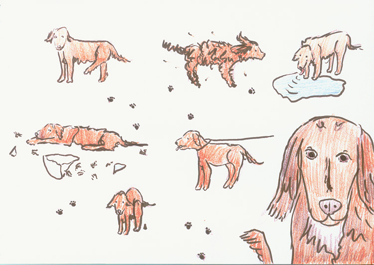  Illustration Bärbel Klingel zu Jutta Richter: Arme Hunde
